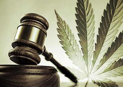 Proceed with caution when making employment decisions involving cannabis