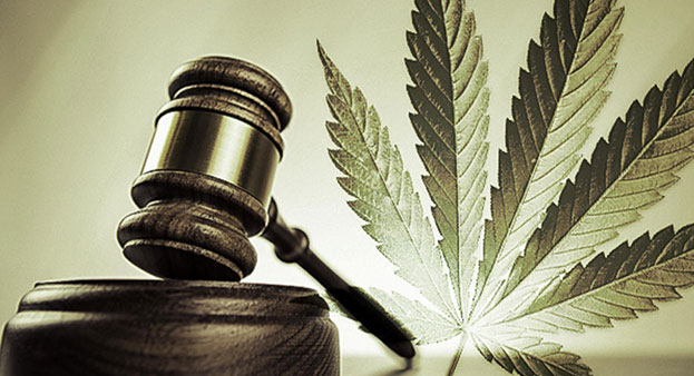Marijuana Legal in NY.  What does this mean for your business